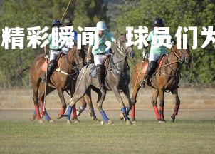 1xbet中国官网-精彩瞬间，球员们为了胜利拼尽全力，球员拼搏